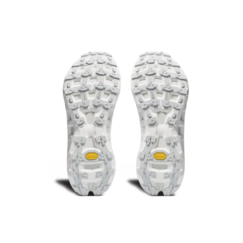 Buty biegowe X-BIONIC Terraskin X03 x white/silver grey