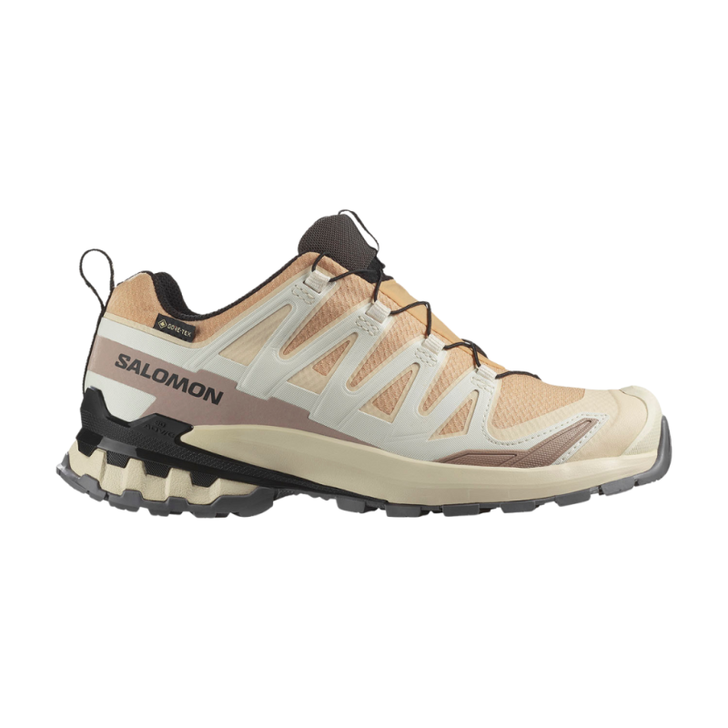 Buty damskie Salomon XA PRO 3D V9 GORE-TEX beżowe