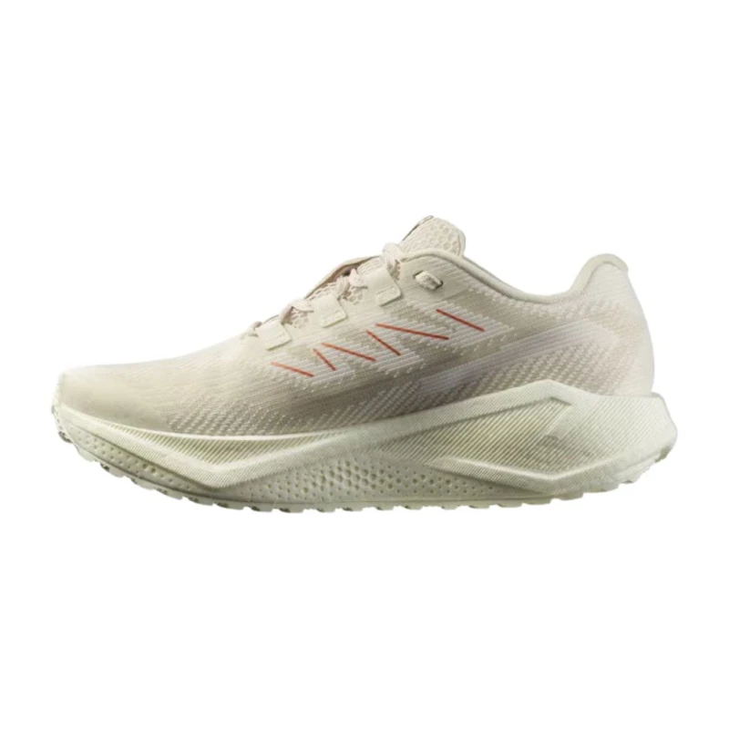 Buty biegowe damskie Salomon Aero Blaze 3 GRVL vanilla Ice/vanilla Ice